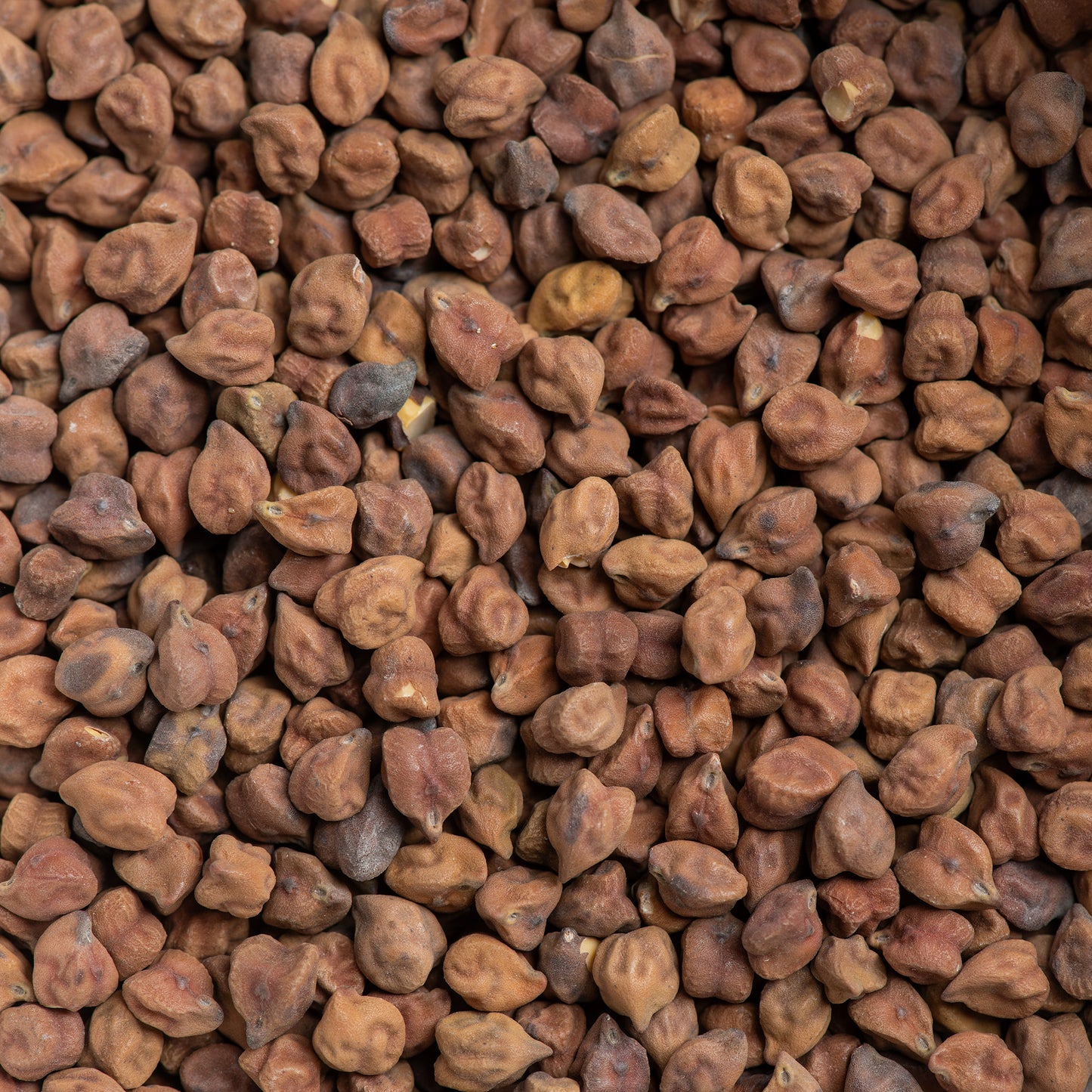 Black Chana (Kala Chana)