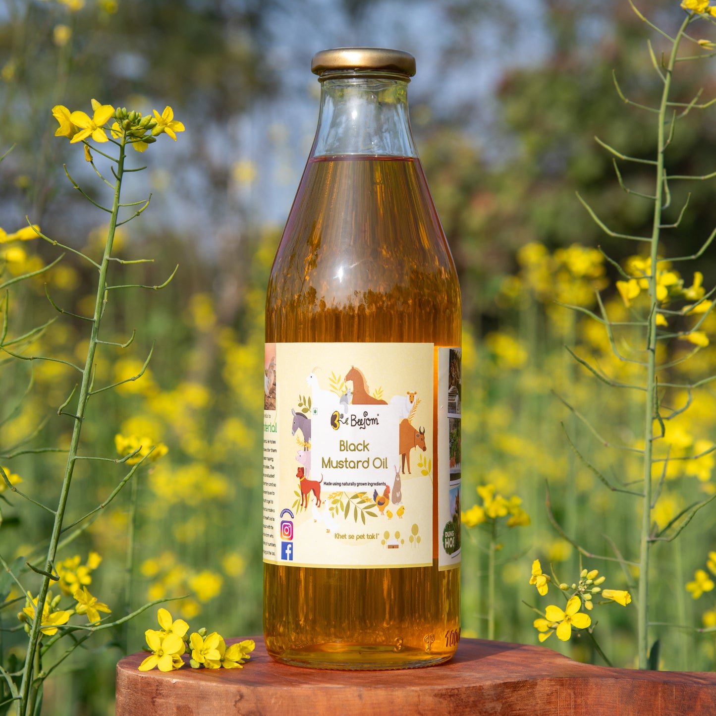 Black Mustard Oil
