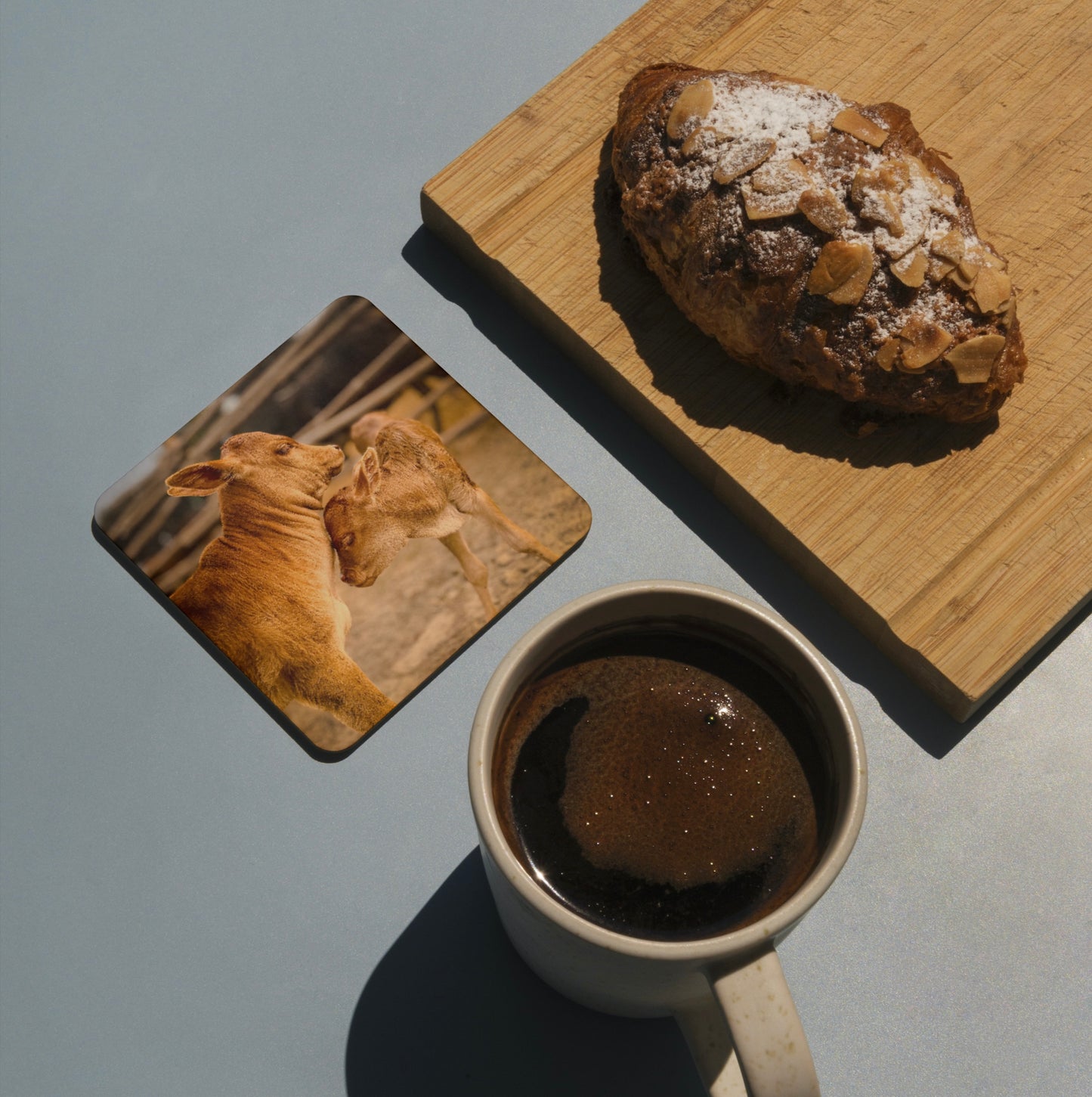 Beejom Coasters (Set of 6)