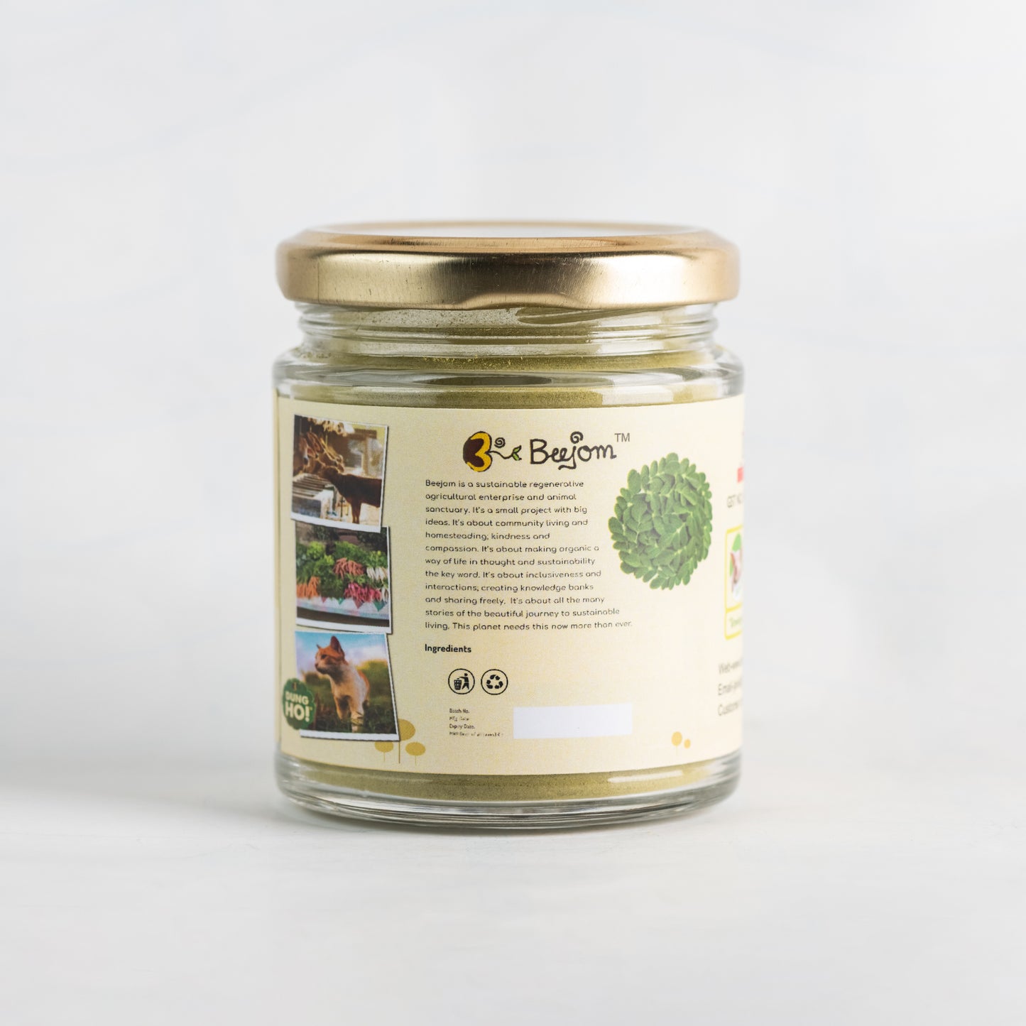 Curry Leaves Powder