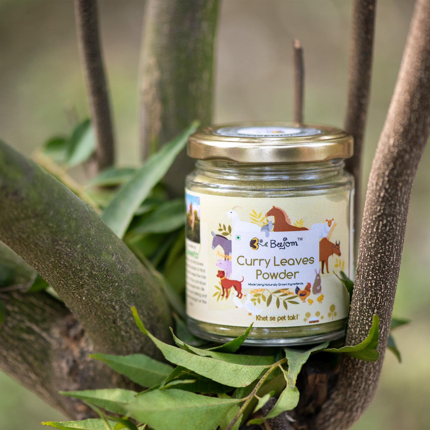 Curry Leaves Powder