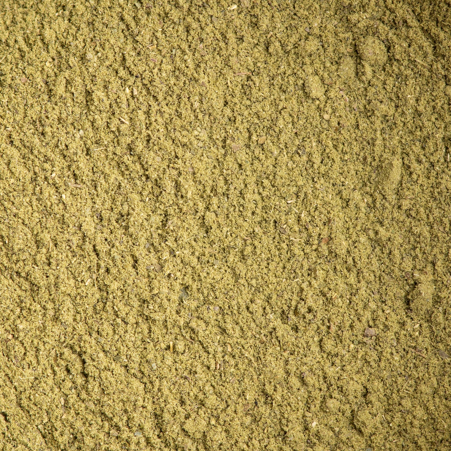 Curry Leaves Powder