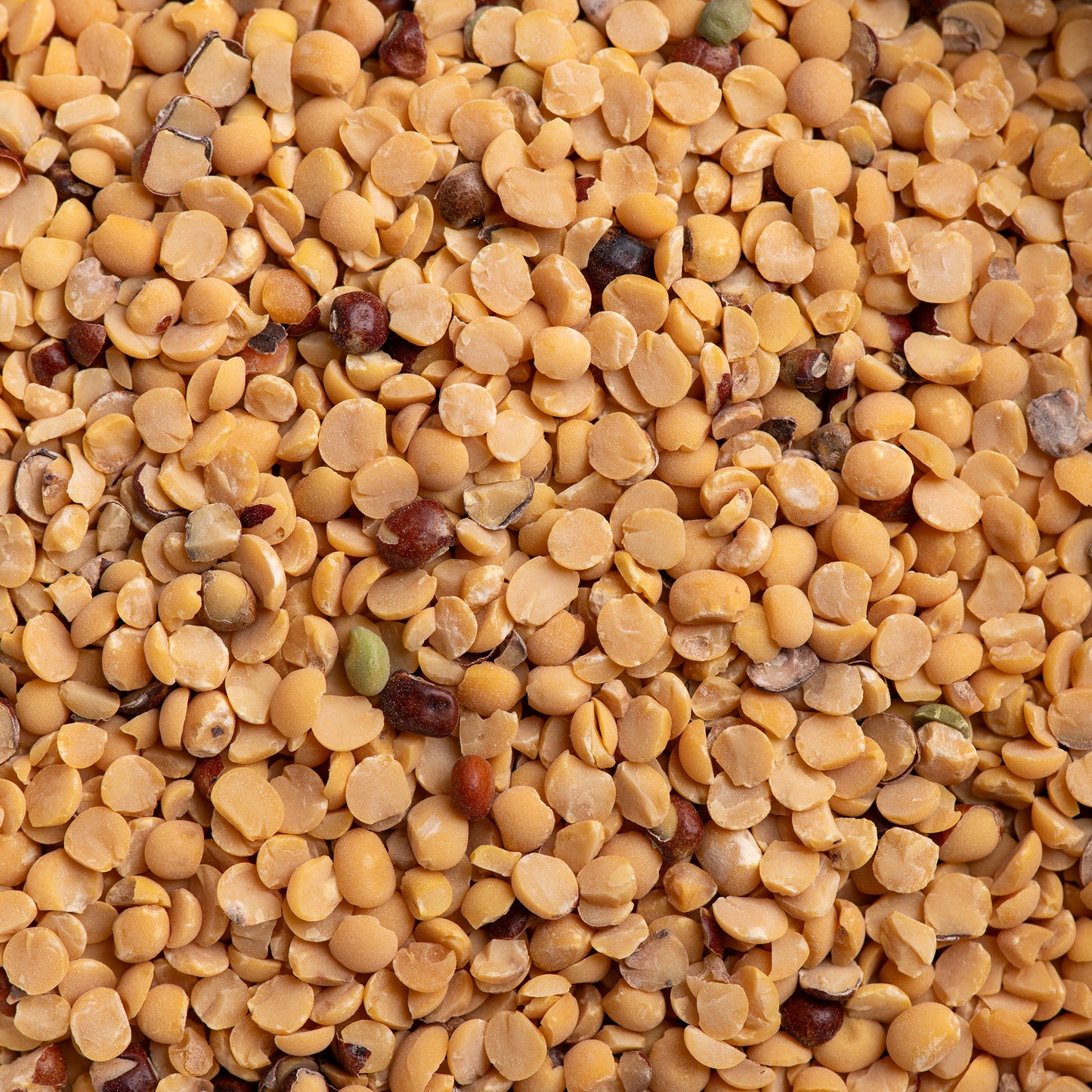 Arhar Dal (Toor Dal)