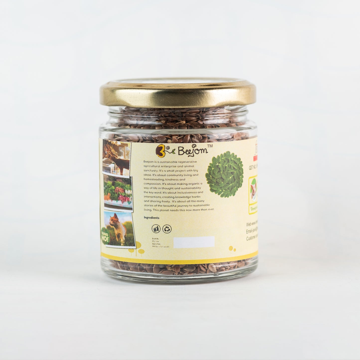 Flax Seeds