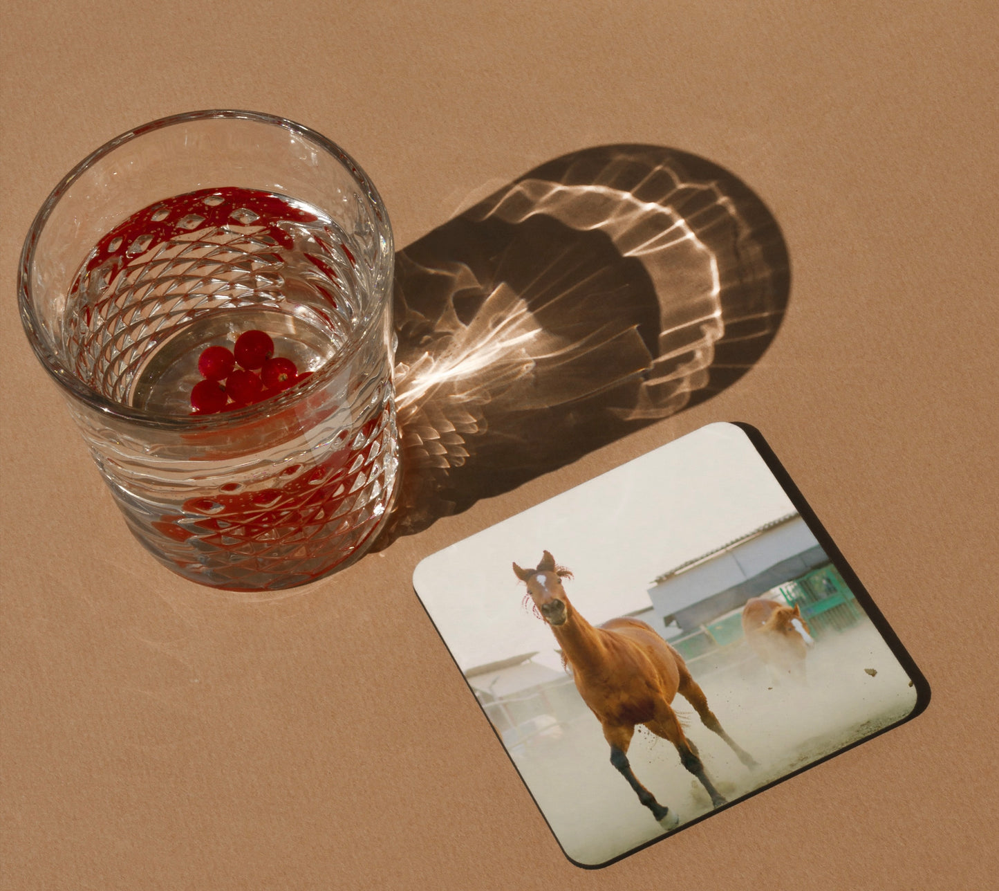 Beejom Coasters (Set of 6)