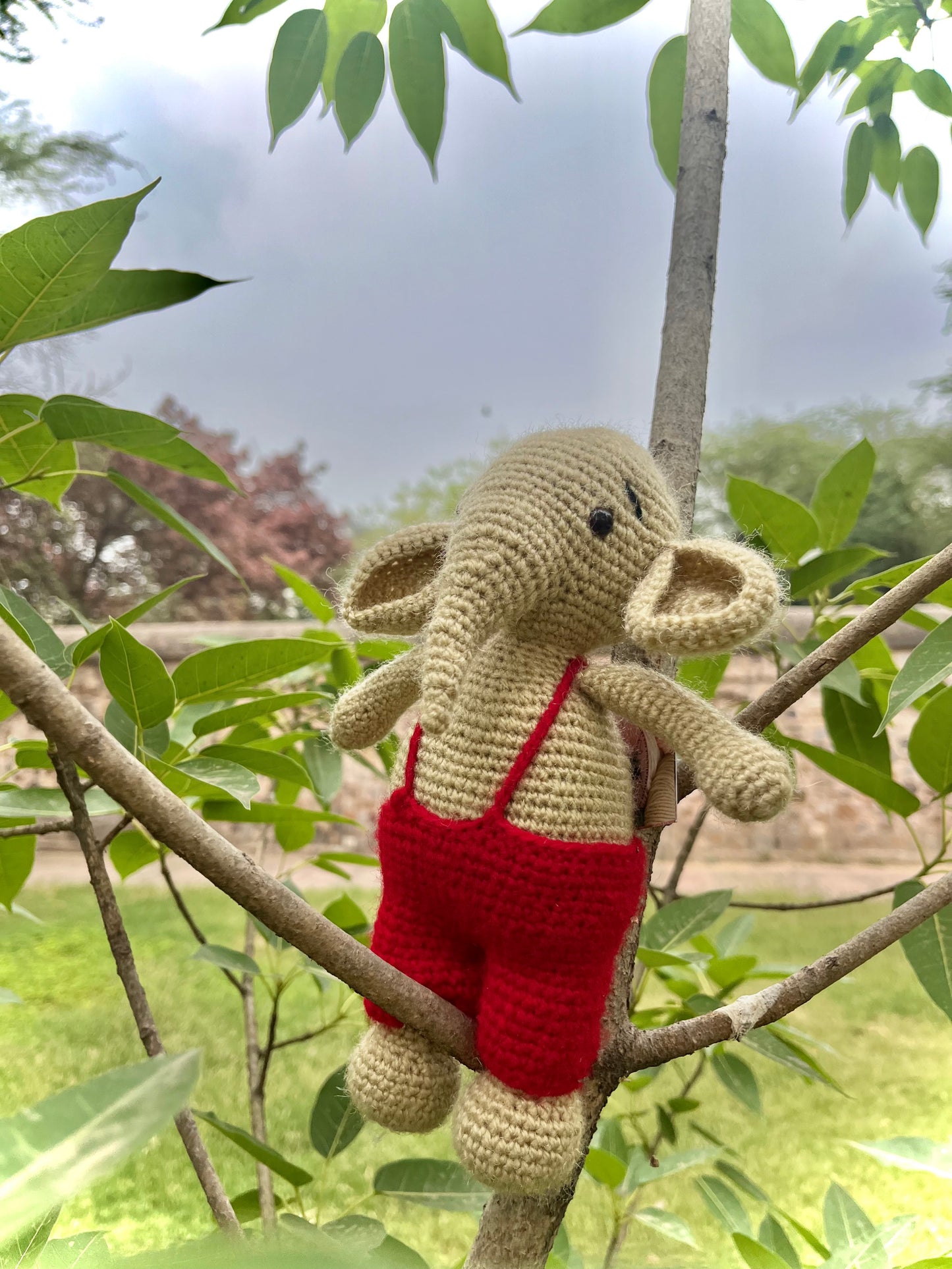 Elephant Toy
