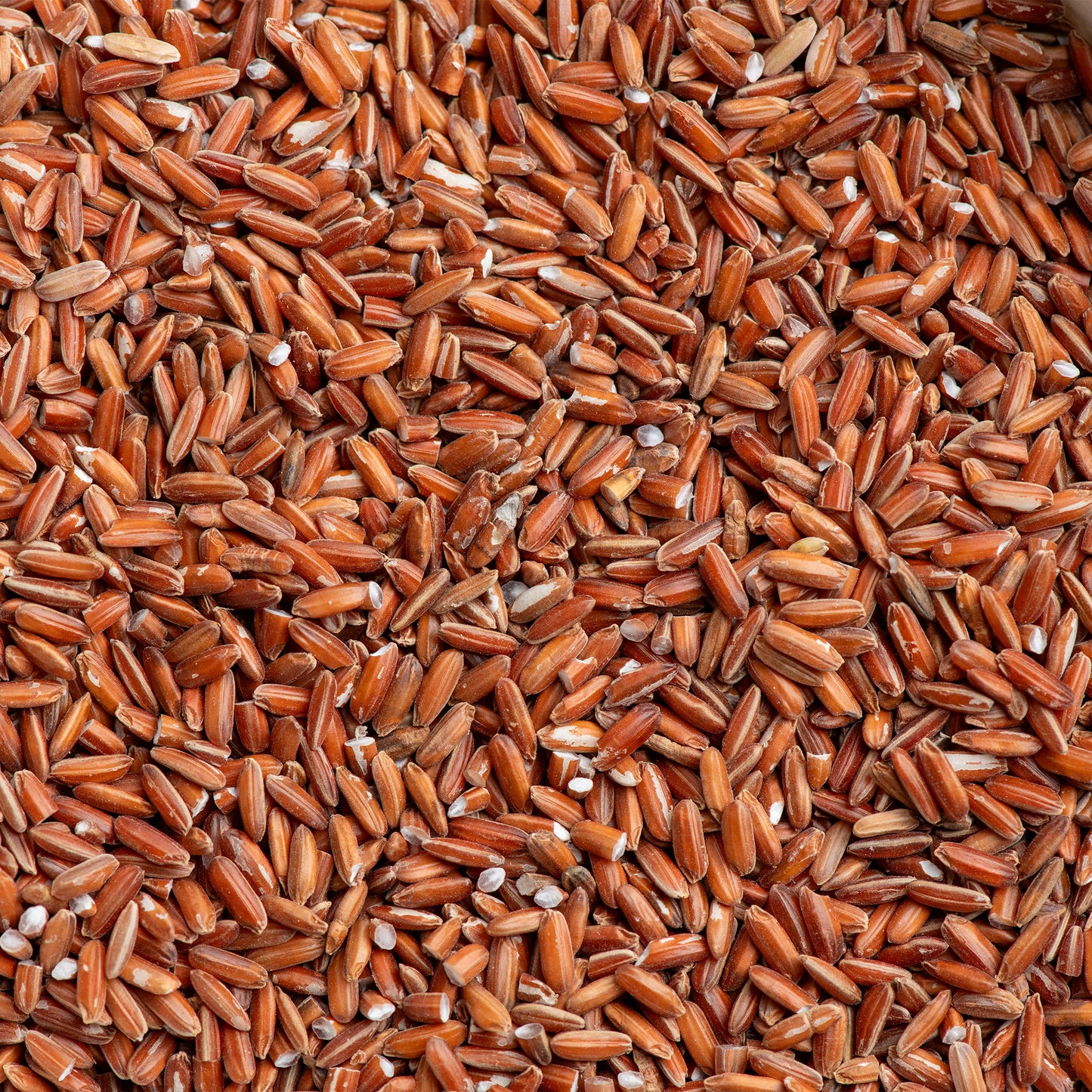 Red Nyavara Rice
