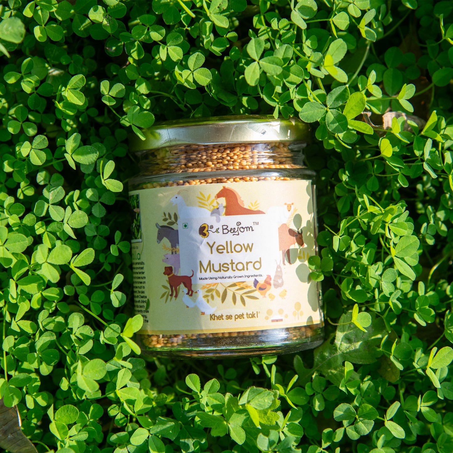 Yellow Mustard