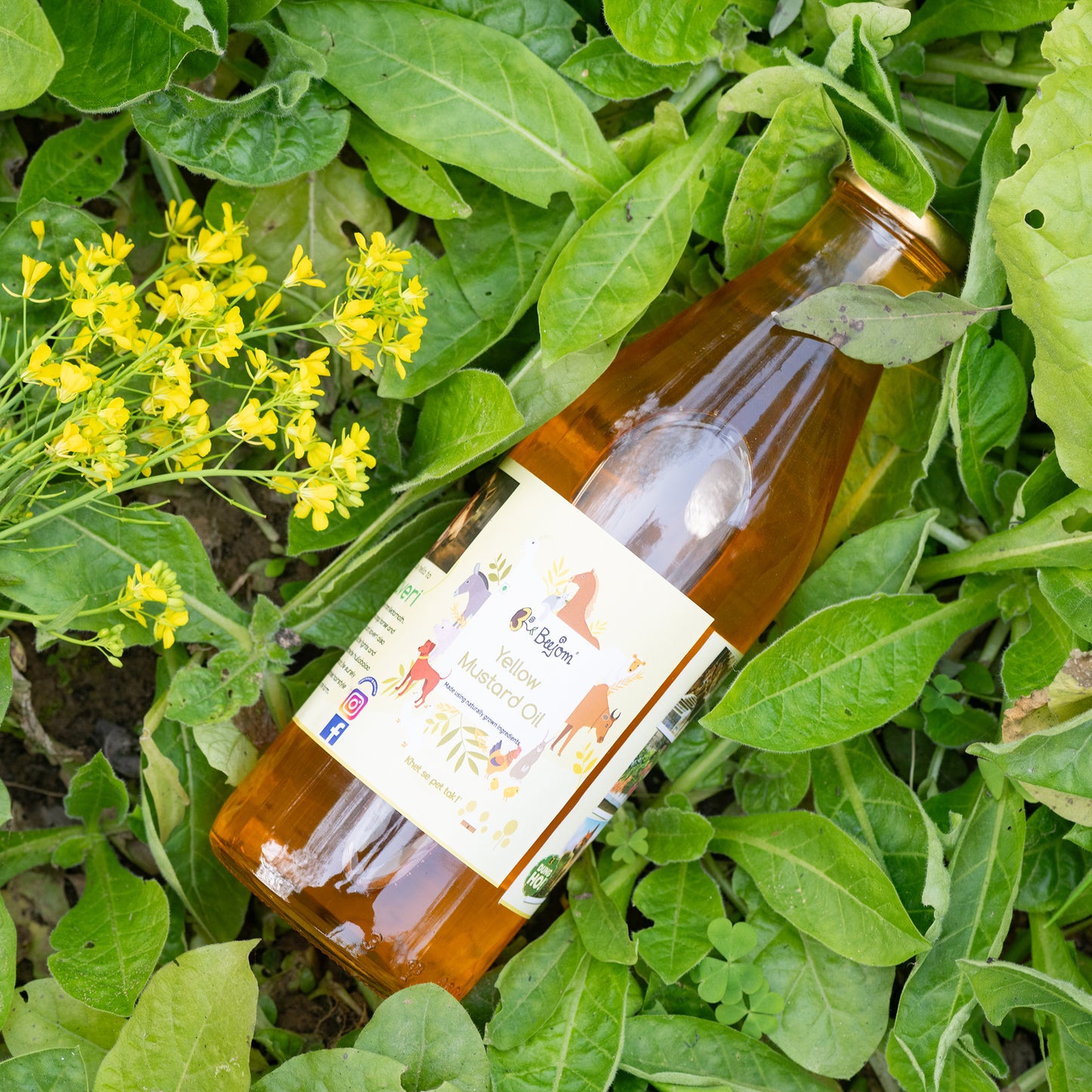 Yellow Mustard Oil