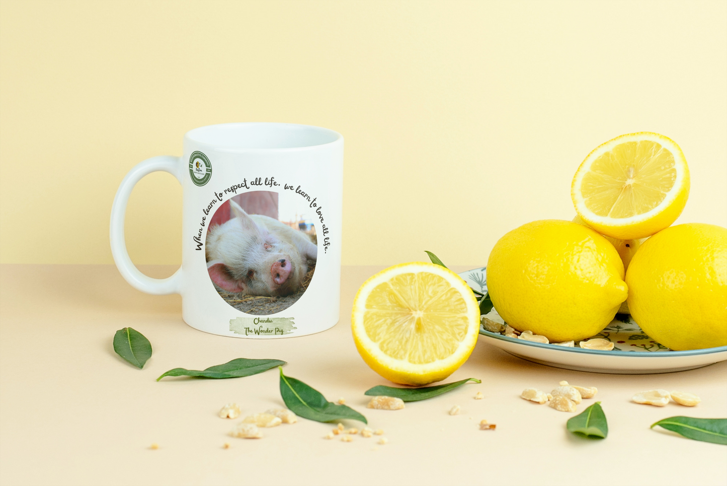 Beejom Mugs