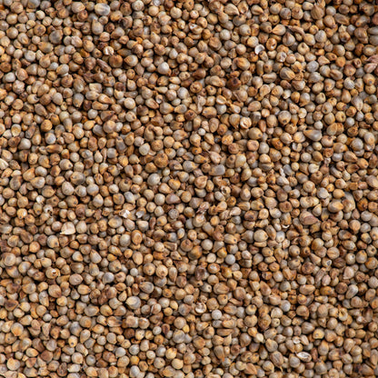 Bajra Whole Millet