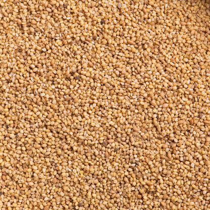 Foxtail Millet Rice