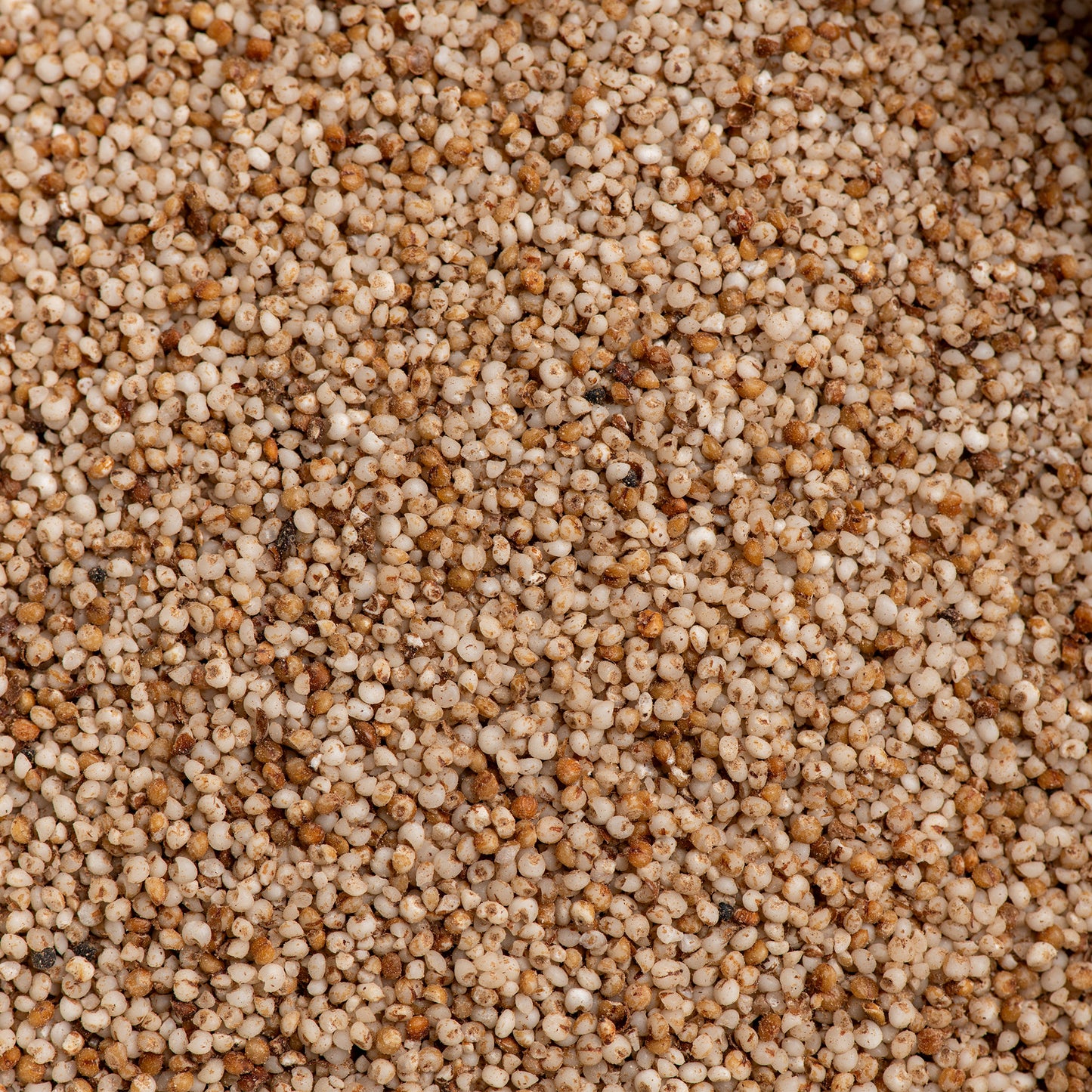 Kodo Whole Millet