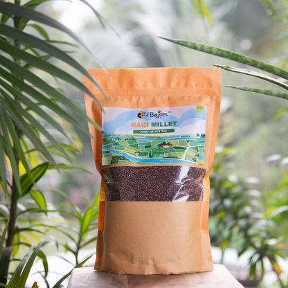 Ragi Whole Millet (Finger Millet)