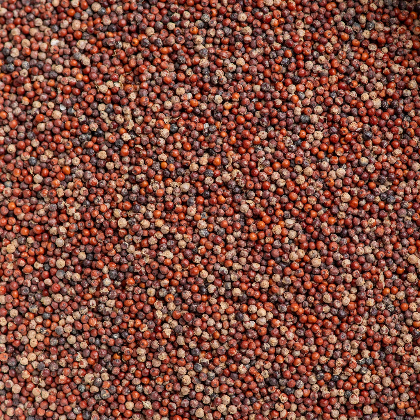 Ragi Whole Millet (Finger Millet)